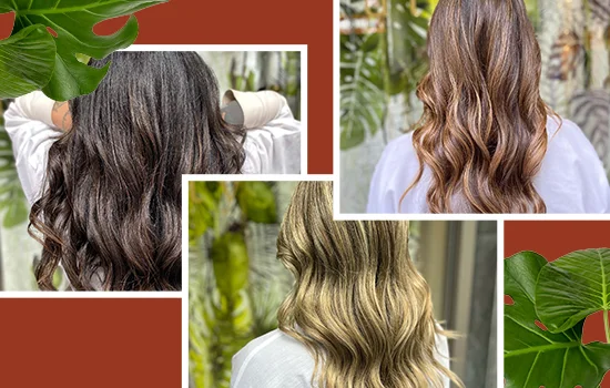 Be Blue Cocept Salon